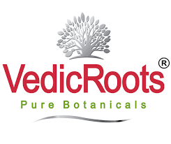 Vedic Roots
